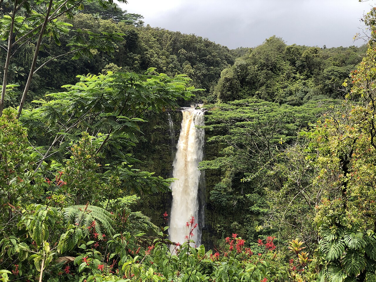 ʻAkaka Falls, a waterfall in Hawaii